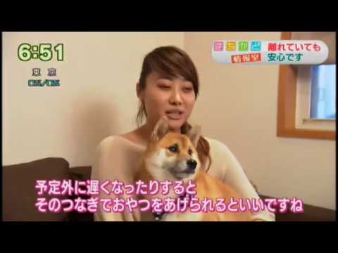 おはよう日本 NHK ドッグカメラ『ファーボ-Furbo-』